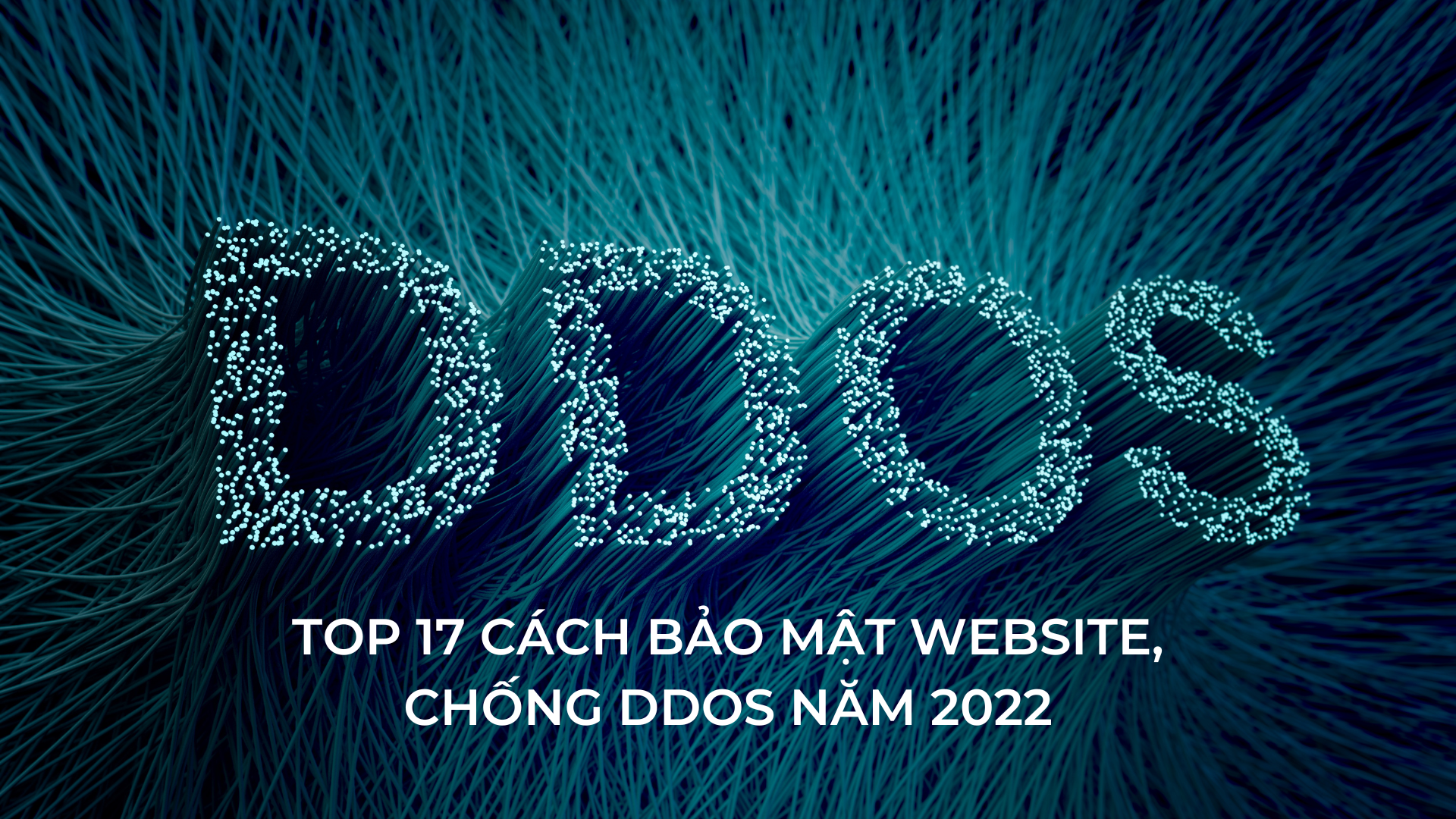 Top 17 cách bảo mật Website, chống DDoS năm 2022